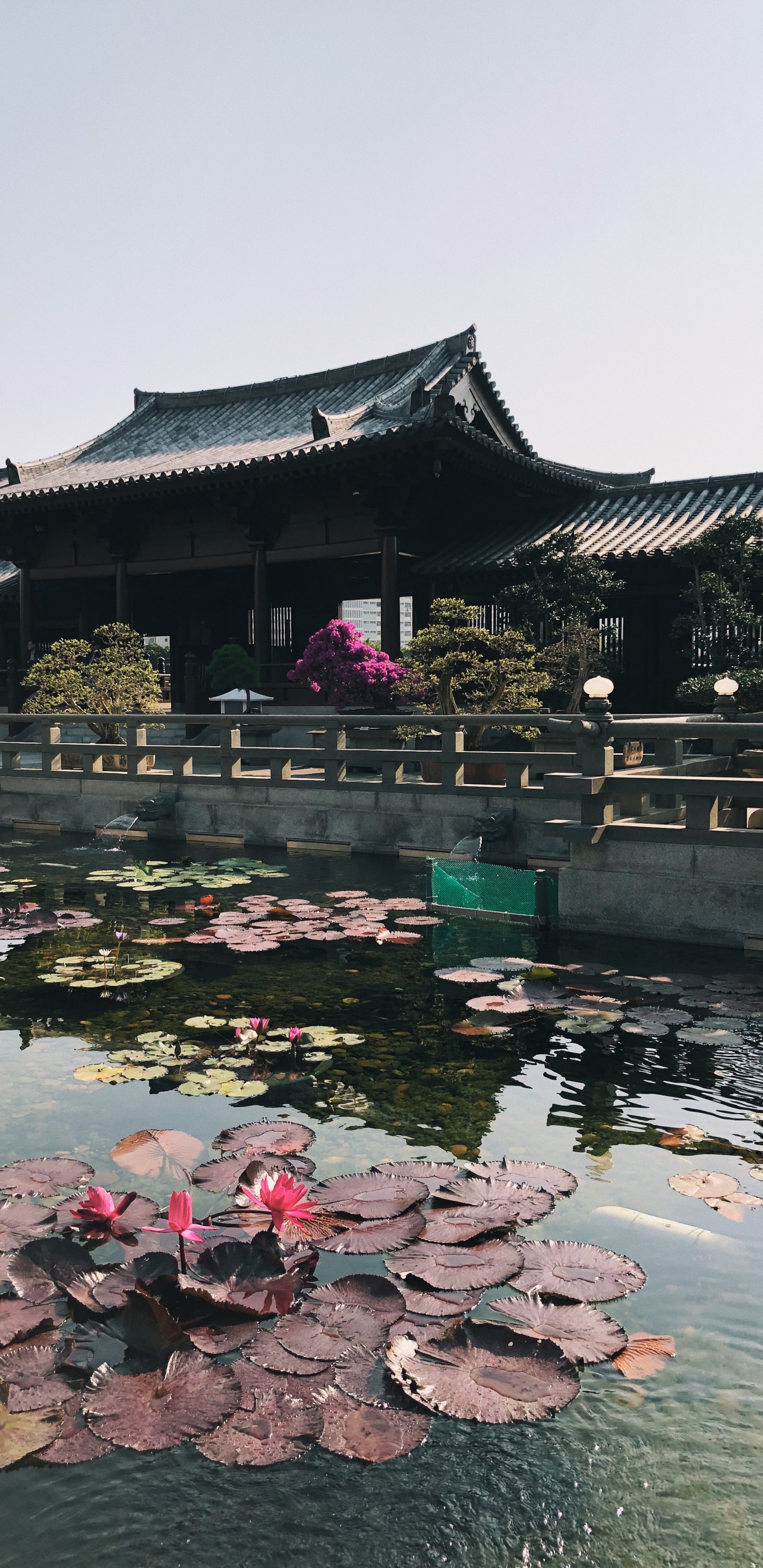 Reflection, Tourism, Water, Tourist Attraction, Body of Water. Wallpaper in 1440x2960 Resolution