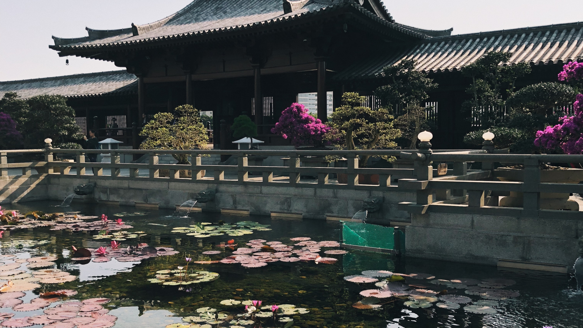 Reflection, Tourism, Water, Tourist Attraction, Body of Water. Wallpaper in 1920x1080 Resolution