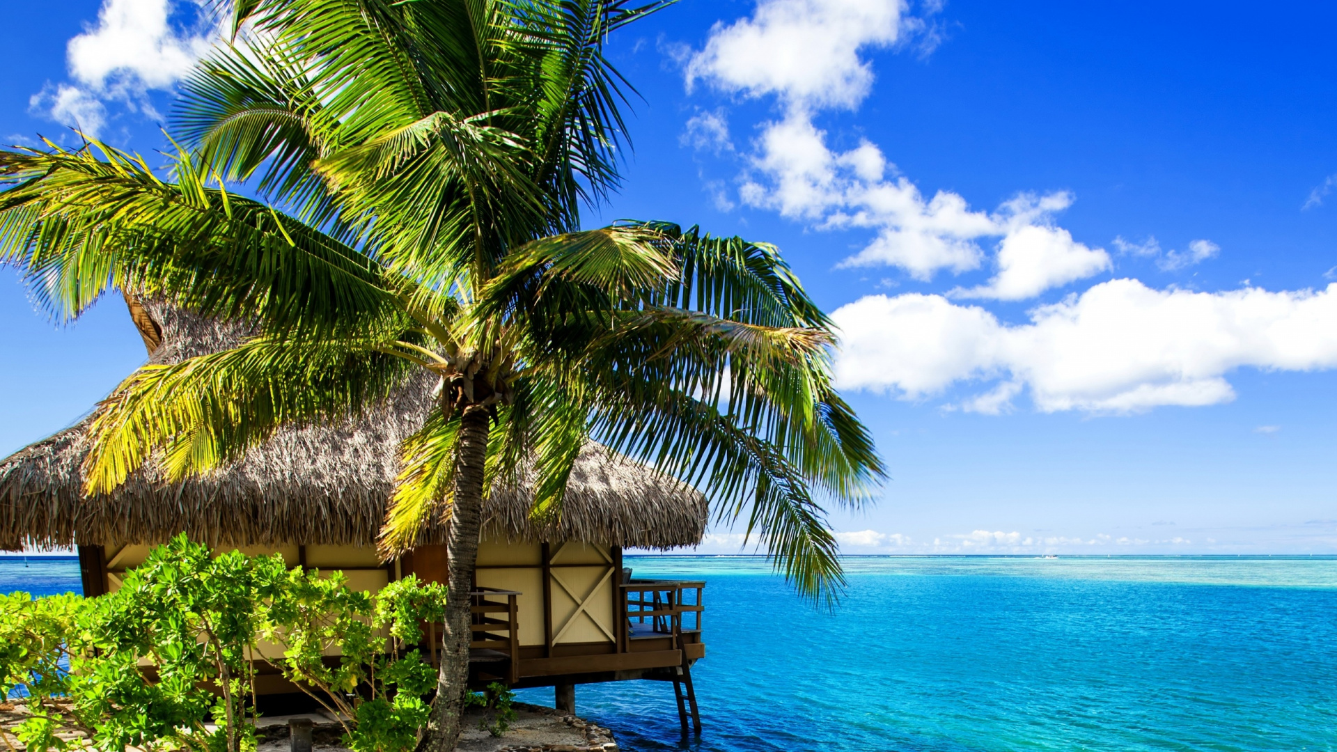 Brown Wooden Cottage on Beach Shore During Daytime. Wallpaper in 1920x1080 Resolution