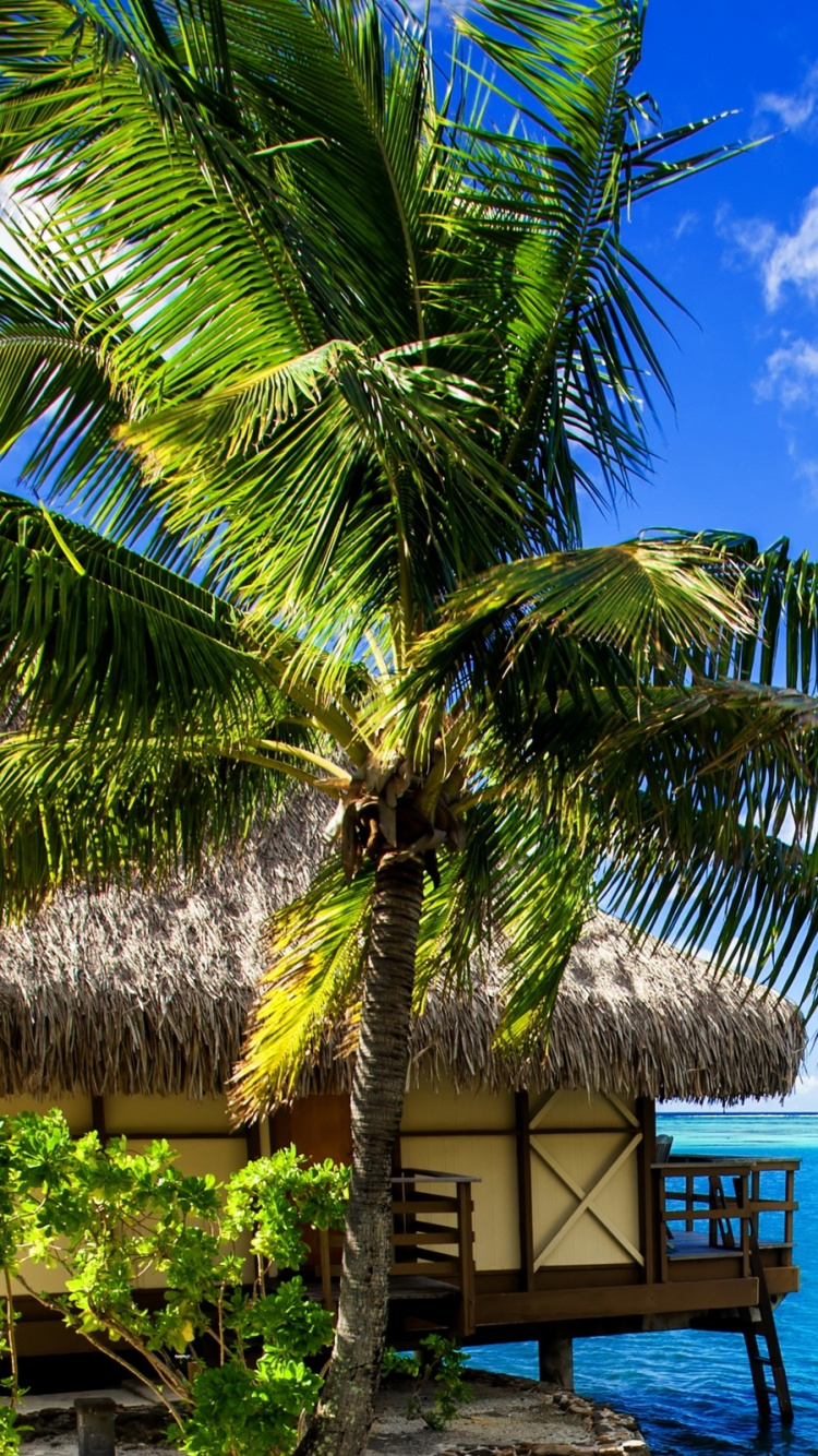 Brown Wooden Cottage on Beach Shore During Daytime. Wallpaper in 750x1334 Resolution