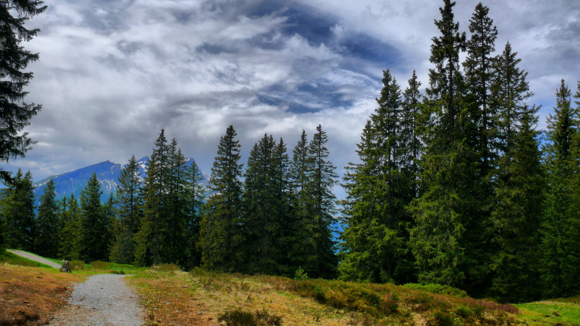 Green Pine Trees Under White Clouds and Blue Sky During Daytime. Wallpaper in 1920x1080 Resolution