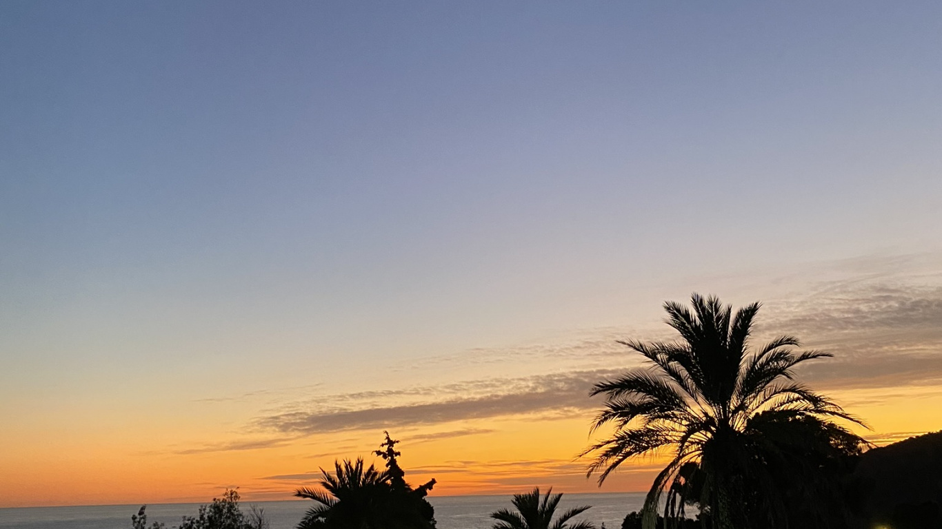 Palm Trees, Sunset, Dusk, Sunrise, Afterglow. Wallpaper in 1366x768 Resolution