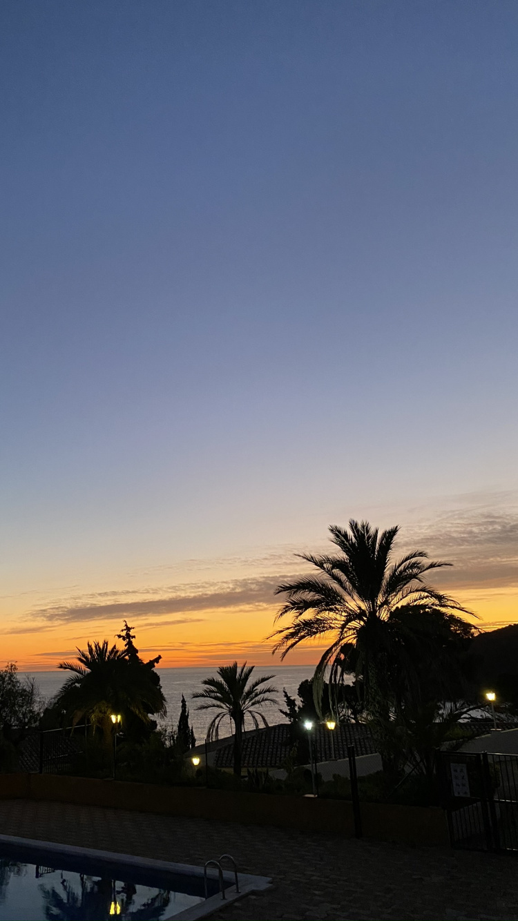 Palme, Sonnenuntergang, Sonnenaufgang, Afterglow, Abend. Wallpaper in 750x1334 Resolution