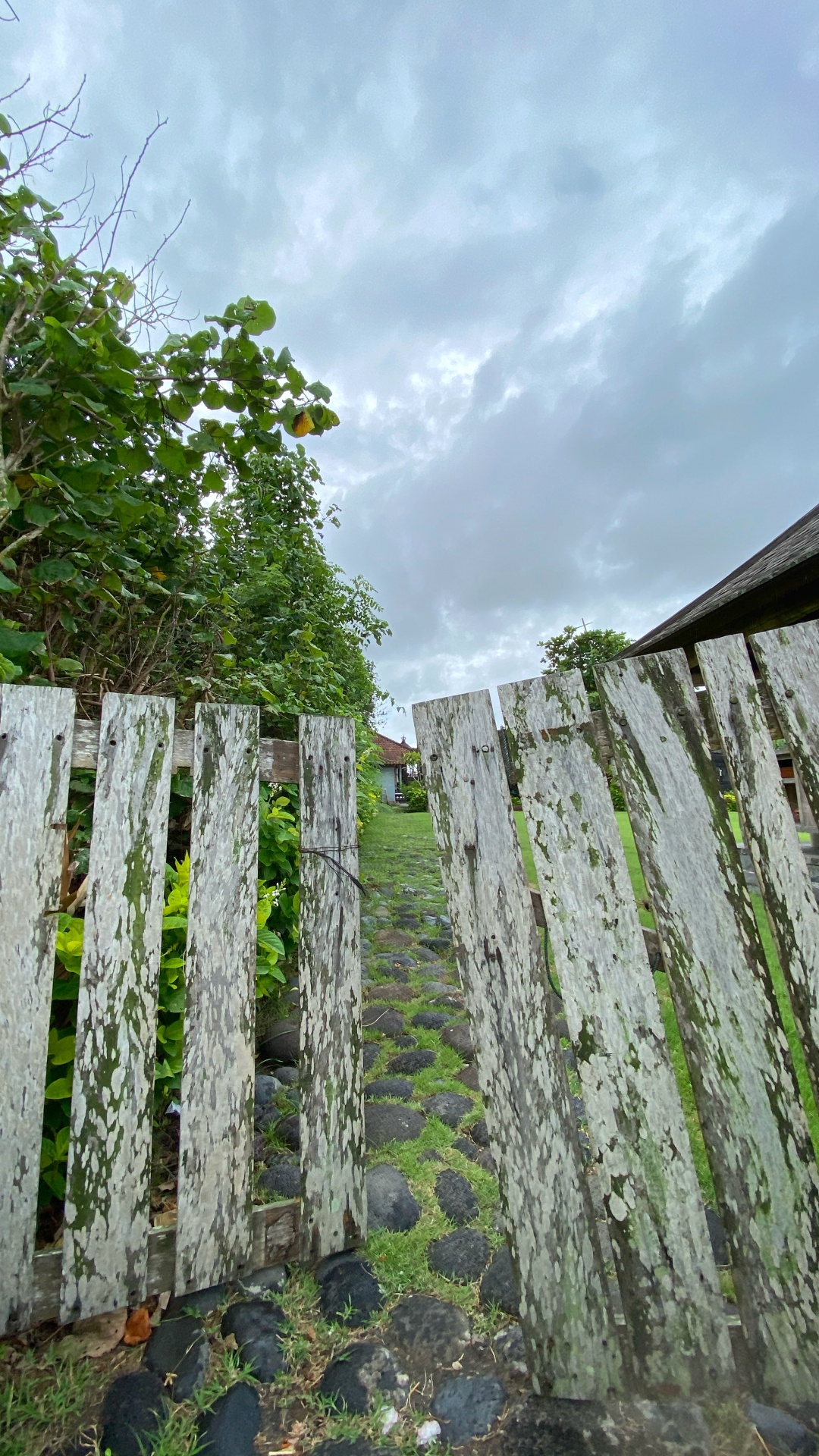 Wall, Rural Area, Groundcover, Plantation, Non Vascular Land Plant. Wallpaper in 1080x1920 Resolution