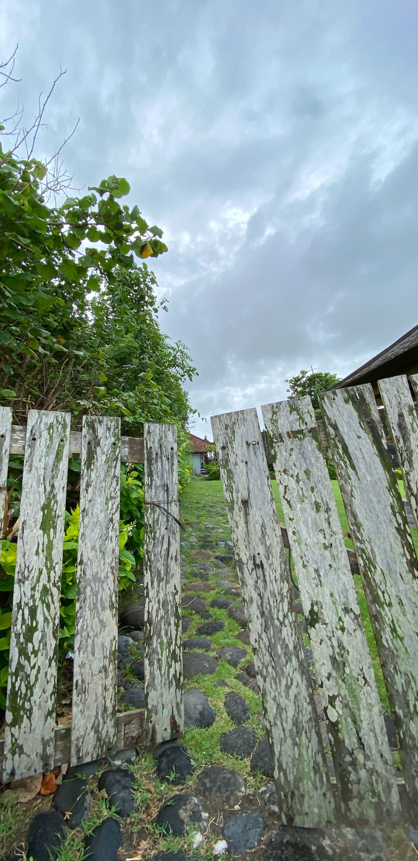 Wall, Rural Area, Groundcover, Plantation, Non Vascular Land Plant. Wallpaper in 1440x2960 Resolution