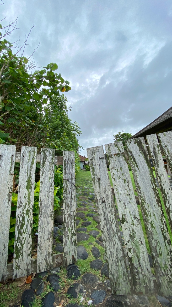 Wall, Rural Area, Groundcover, Plantation, Non Vascular Land Plant. Wallpaper in 720x1280 Resolution