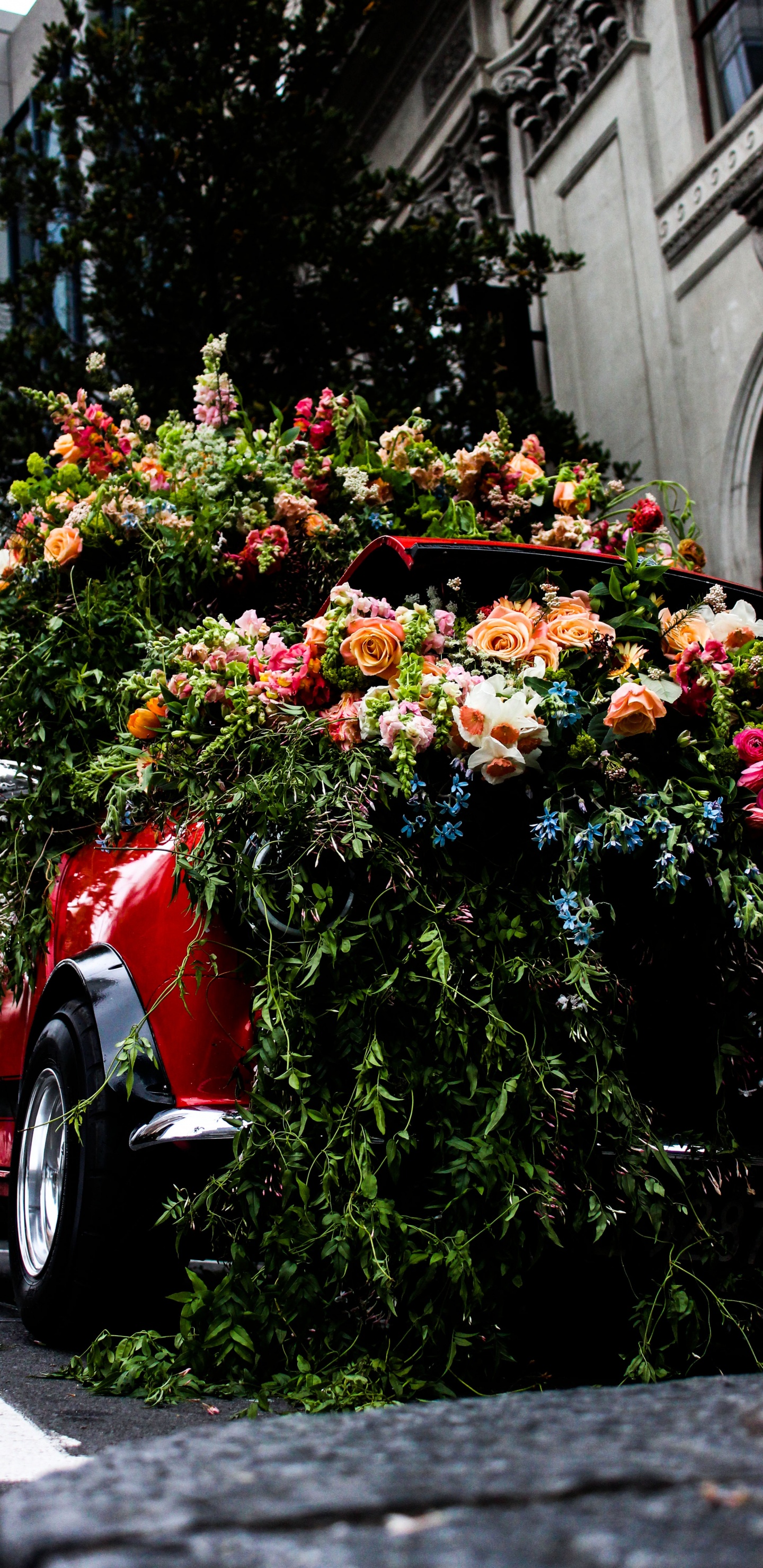 Red Car With Flowers on Top. Wallpaper in 1440x2960 Resolution