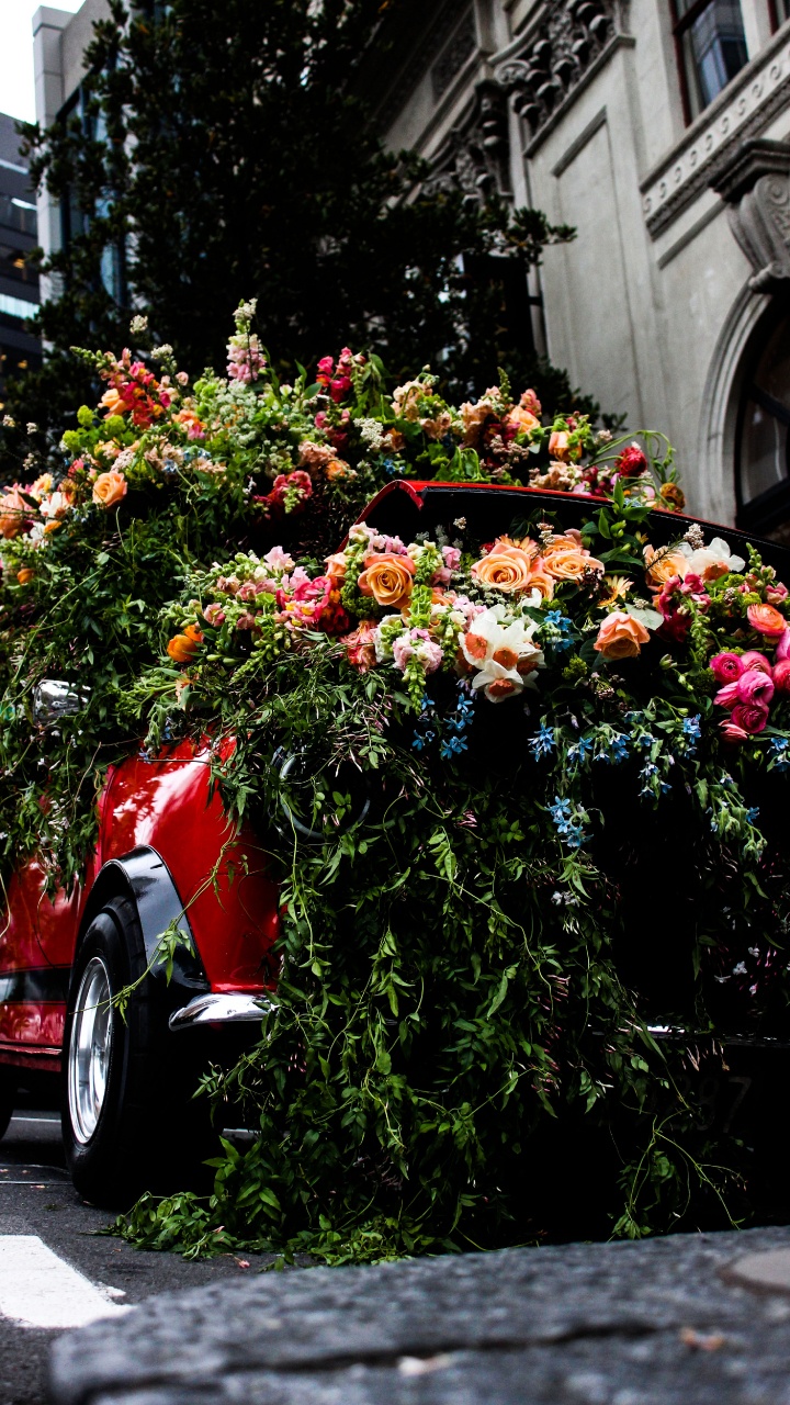 Red Car With Flowers on Top. Wallpaper in 720x1280 Resolution
