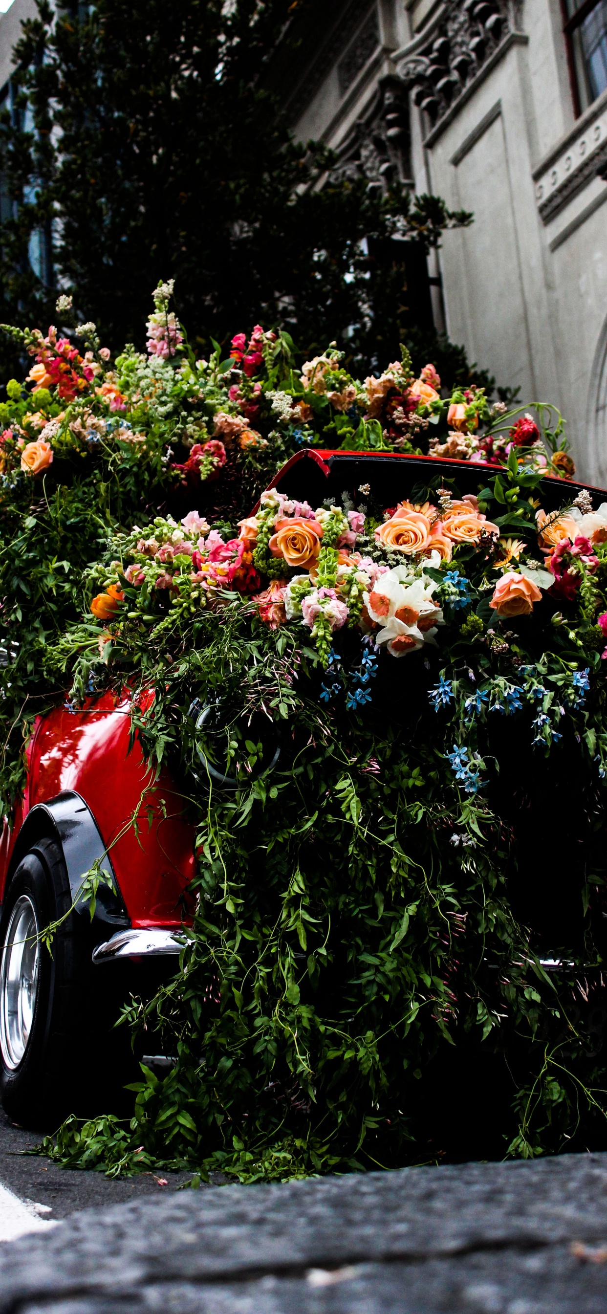 Voiture Rouge Avec Des Fleurs Sur le Dessus. Wallpaper in 1242x2688 Resolution