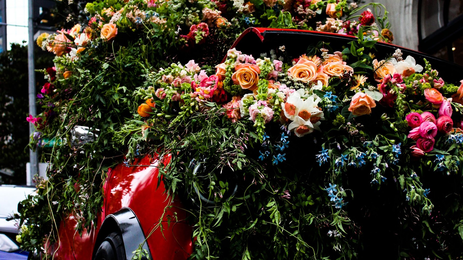 Voiture Rouge Avec Des Fleurs Sur le Dessus. Wallpaper in 1920x1080 Resolution
