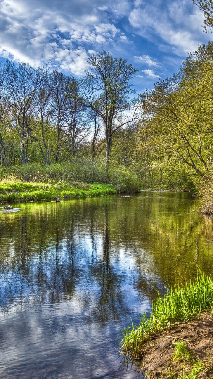 Árboles Verdes Junto al Río Bajo un Cielo Azul y Nubes Blancas Durante el Día. Wallpaper in 720x1280 Resolution