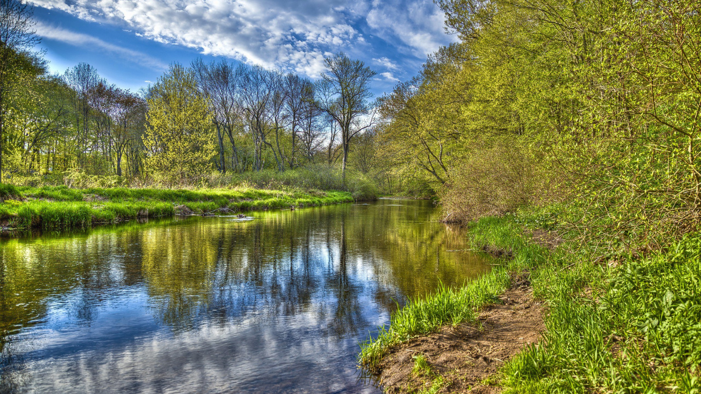 Green Trees Beside River Under Blue Sky and White Clouds During Daytime. Wallpaper in 1366x768 Resolution