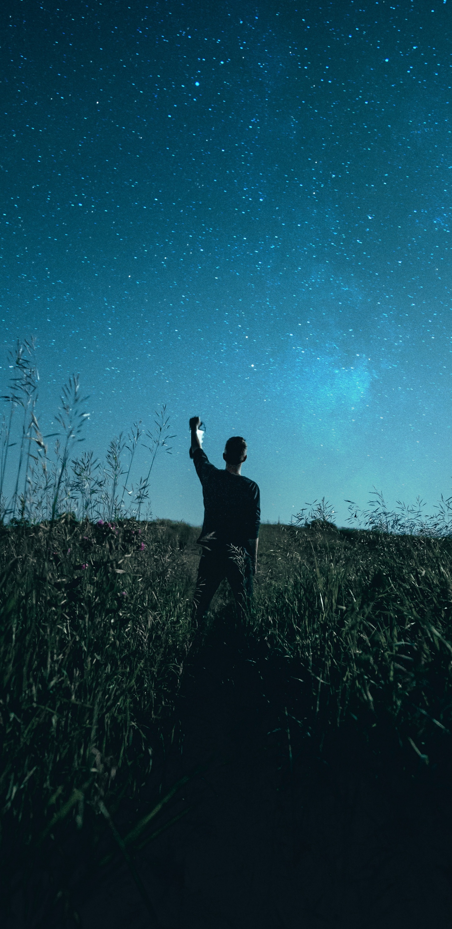 Menschen in Der Natur, Blau, Nacht, Gras, Baum. Wallpaper in 1440x2960 Resolution