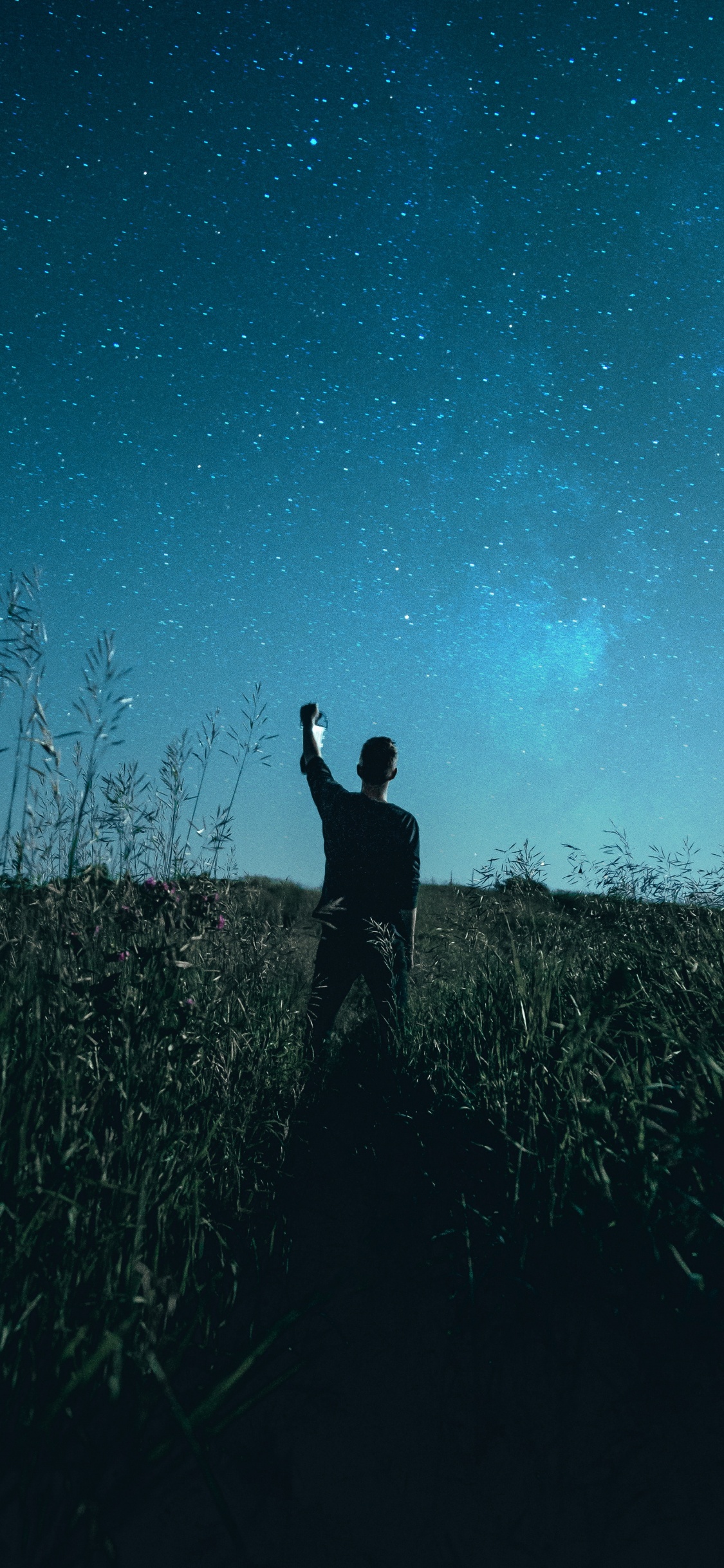 People in Nature, Blue, Darkness, Night, Grass. Wallpaper in 1125x2436 Resolution