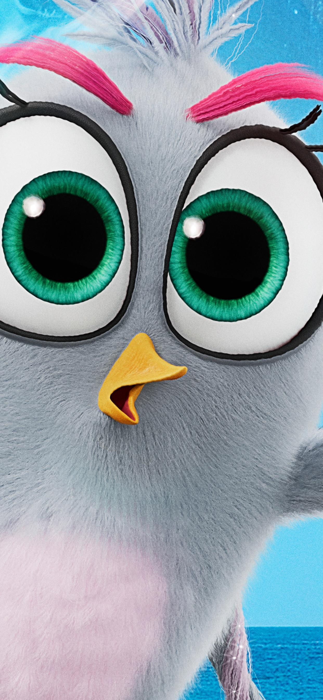 The Angry Birds Movie 2 2019 壁纸 1242x2688 允许