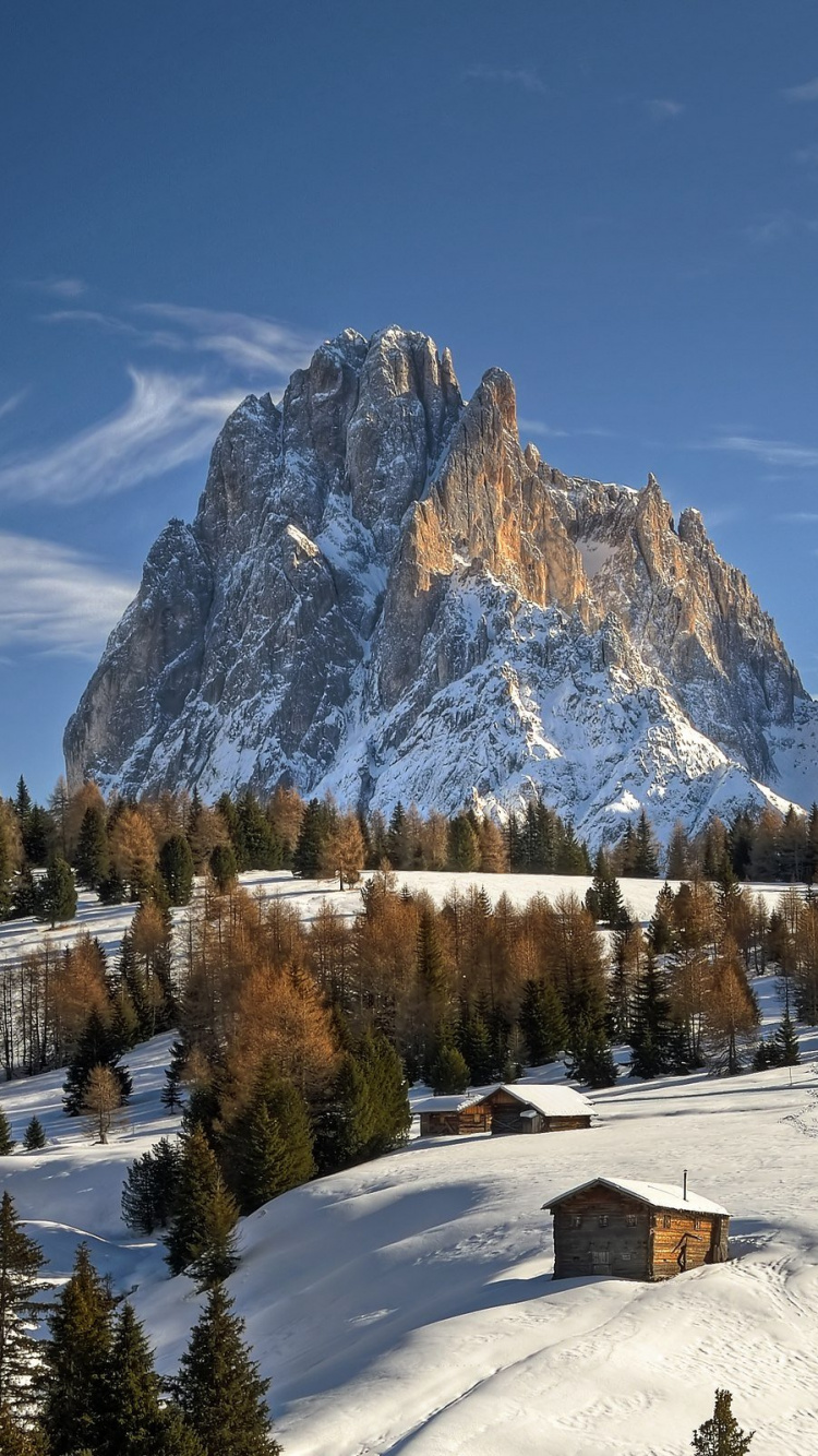 Arbres Verts Sur Sol Couvert de Neige Pendant la Journée. Wallpaper in 750x1334 Resolution