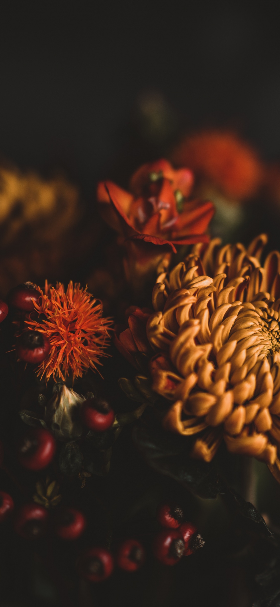 Brown and Red Flower in Close up Photography. Wallpaper in 1125x2436 Resolution