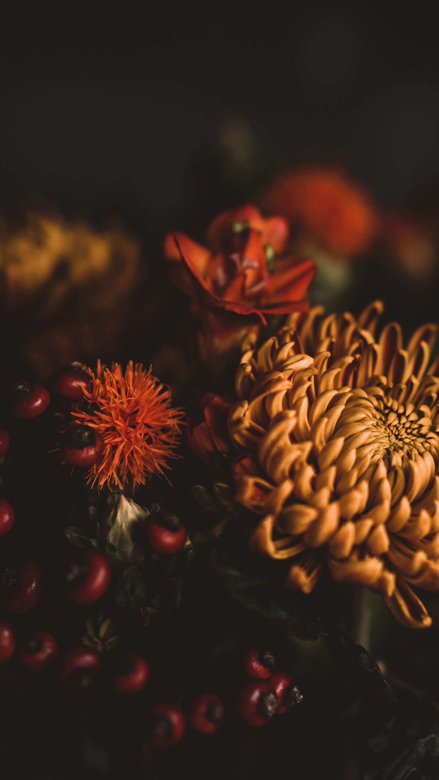 Brown and Red Flower in Close up Photography. Wallpaper in 1440x2560 Resolution