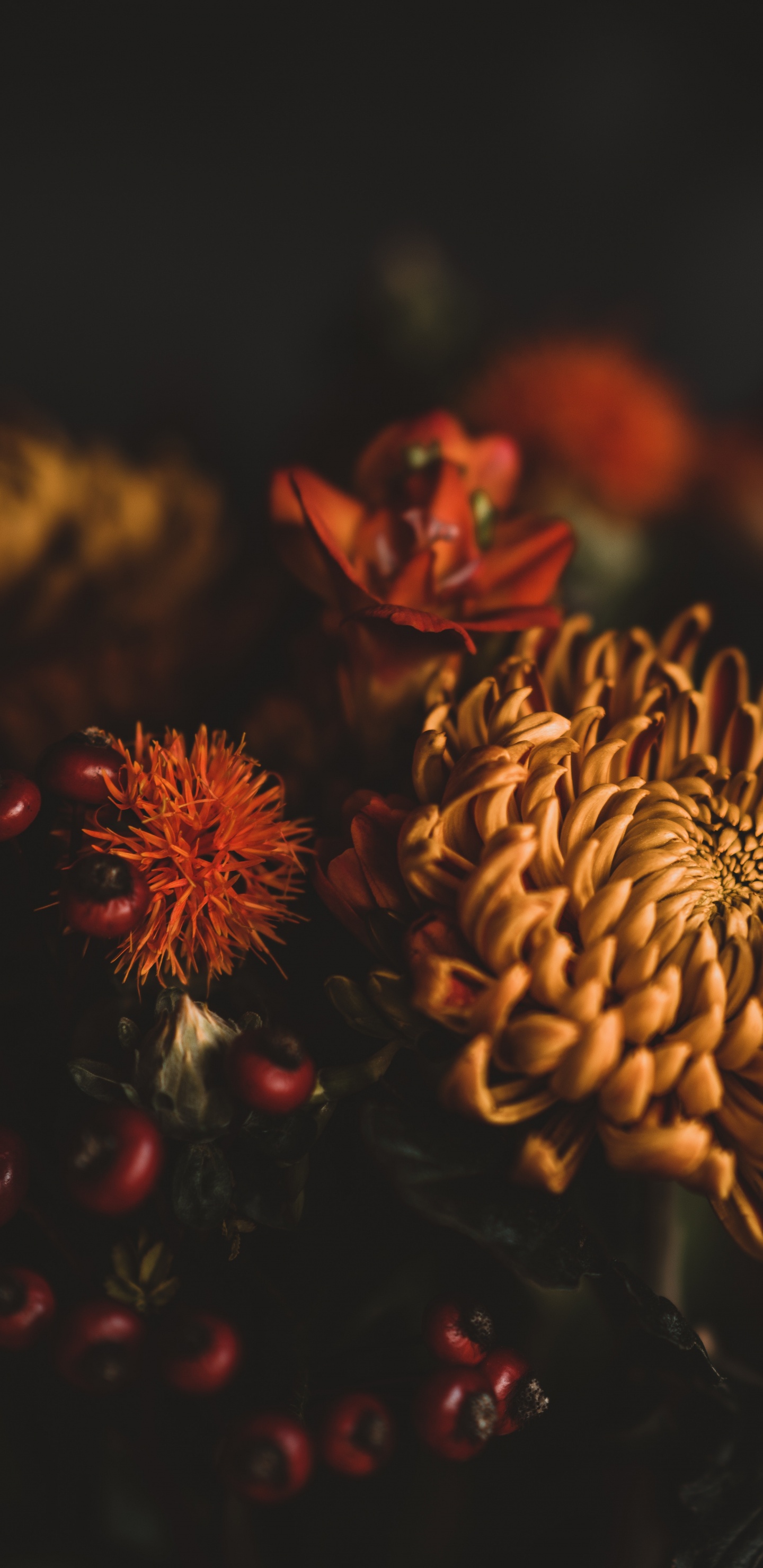 Brown and Red Flower in Close up Photography. Wallpaper in 1440x2960 Resolution