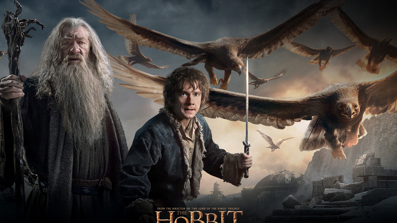 Homme en Blouson de Cuir Noir Tenant un Oiseau Blanc. Wallpaper in 1280x720 Resolution