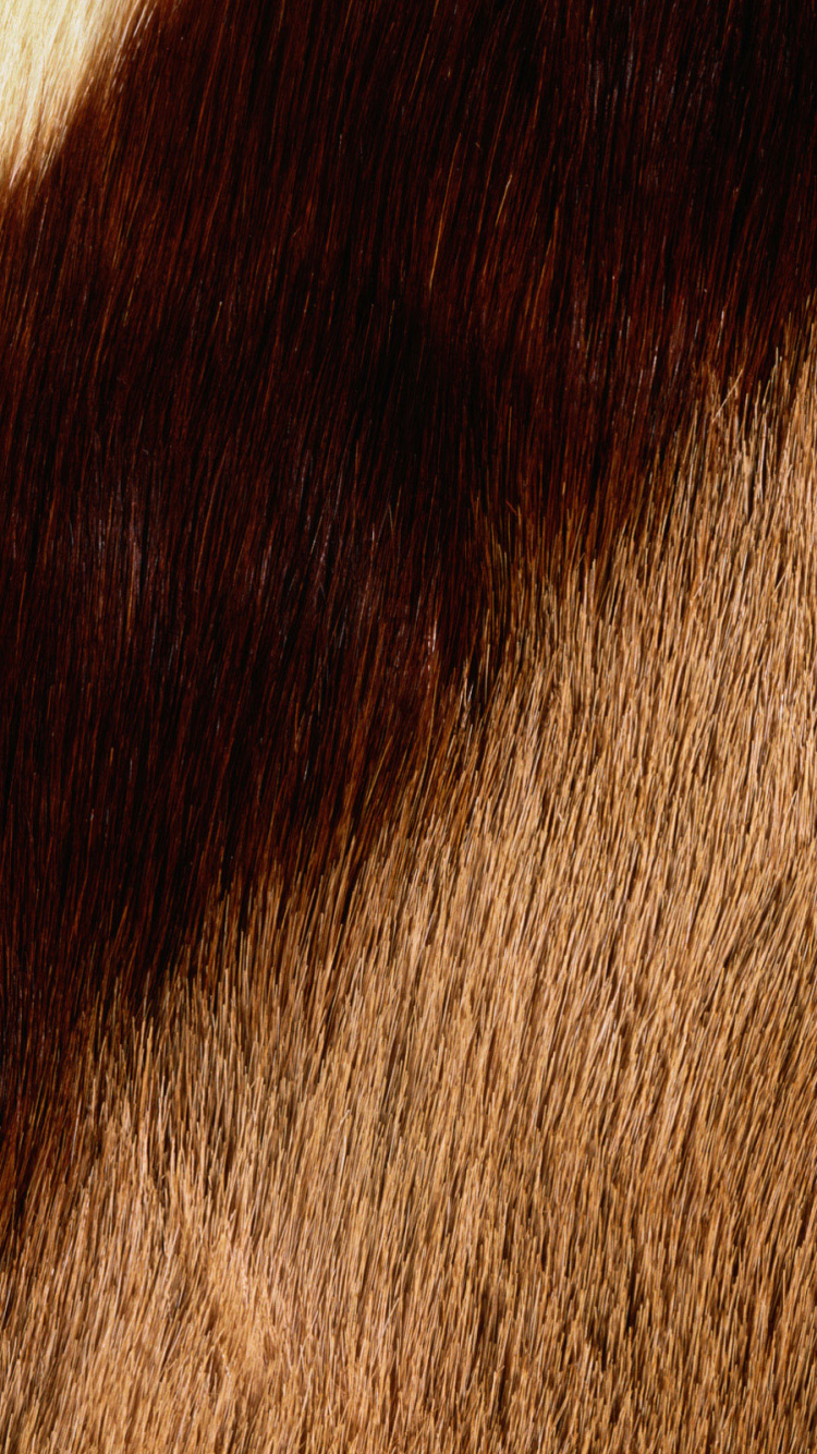 Brown and White Fur Textile. Wallpaper in 750x1334 Resolution