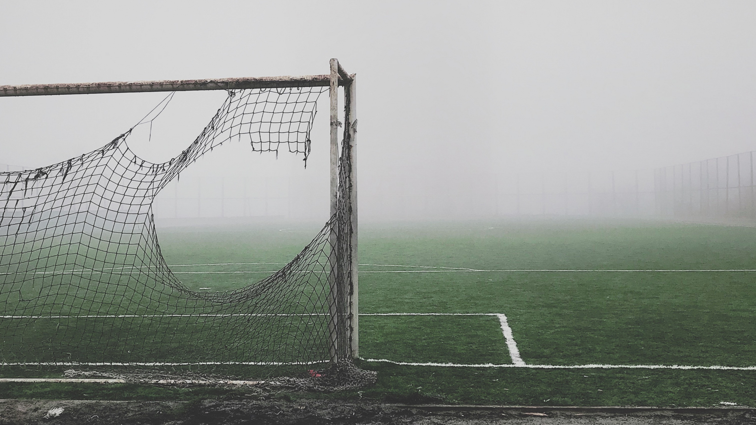 White Soccer Goal Net on Green Grass Field. Wallpaper in 2560x1440 Resolution