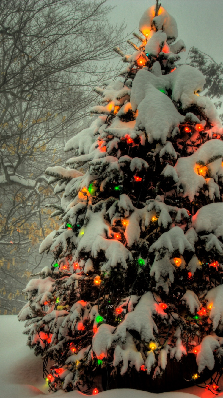 Weihnachtsbaum, Weihnachten, Baum, Winter, Weihnachtsdekoration. Wallpaper in 750x1334 Resolution