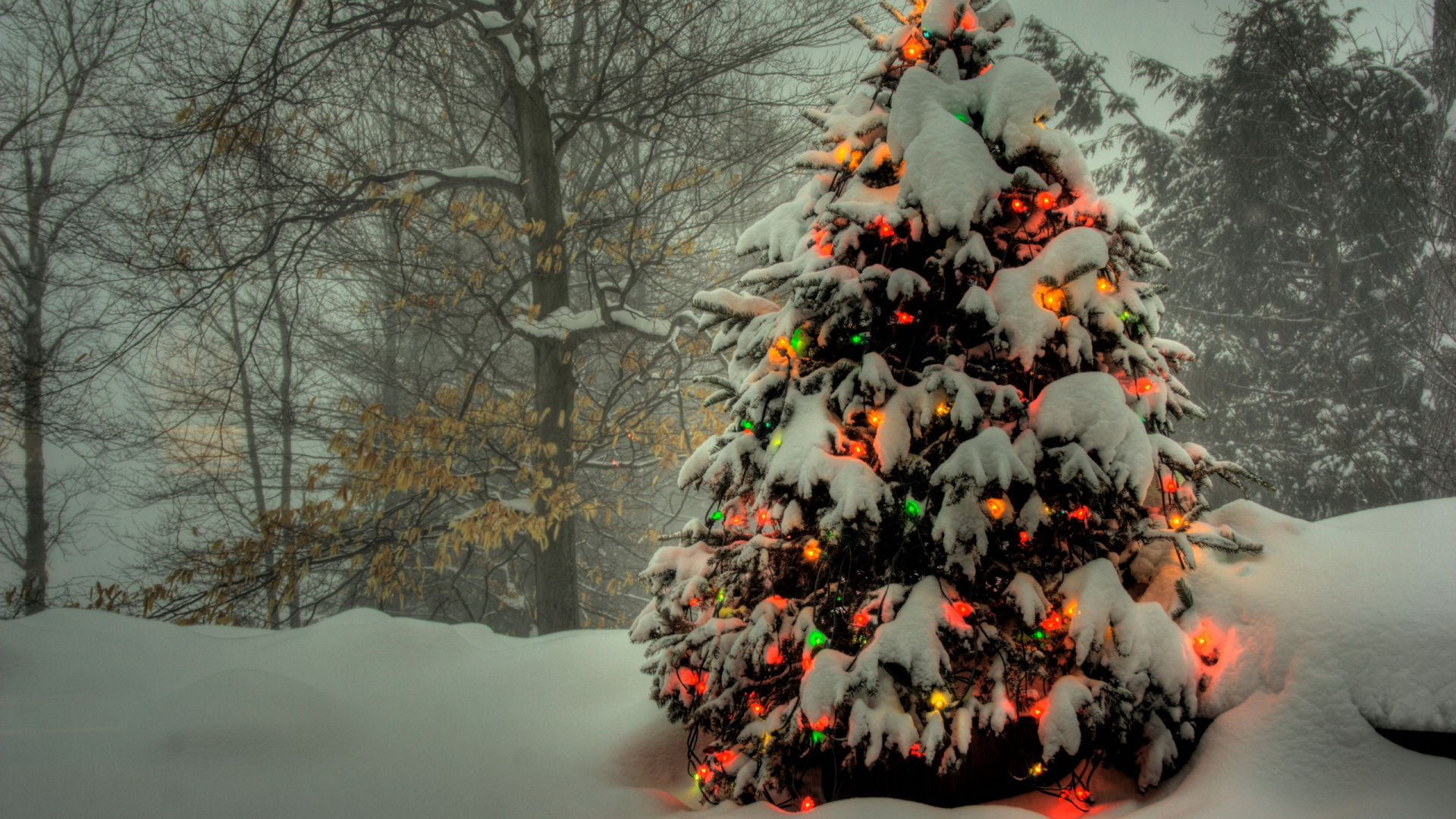 Arbre de Noël, Le Jour De Noël, Hiver, Décoration de Noël, Neige. Wallpaper in 1920x1080 Resolution