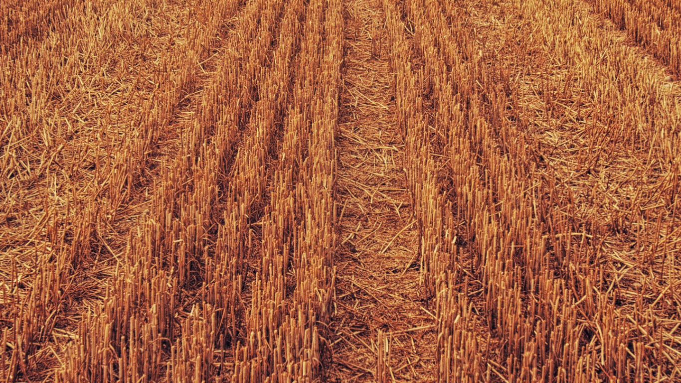 Cultivo, Agricultura, Neumatico, Paisaje Natural, La Gente en la Naturaleza. Wallpaper in 1366x768 Resolution