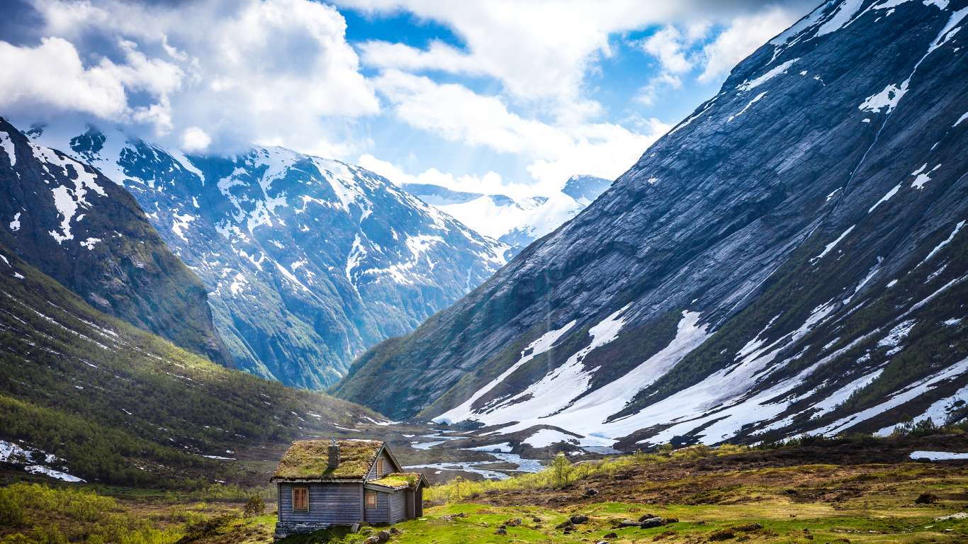 Jardin Hajipura, Garden, Pépinière, Cottage, Aménagement de Jardin. Wallpaper in 1366x768 Resolution