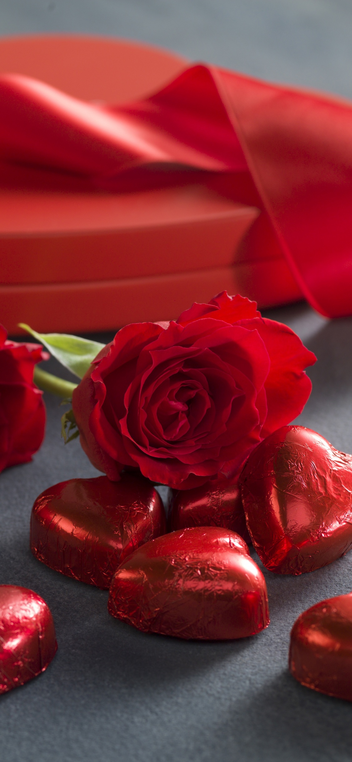 le Jour de Valentines, Red, Roses, Les Roses de Jardin, Pétale. Wallpaper in 1125x2436 Resolution