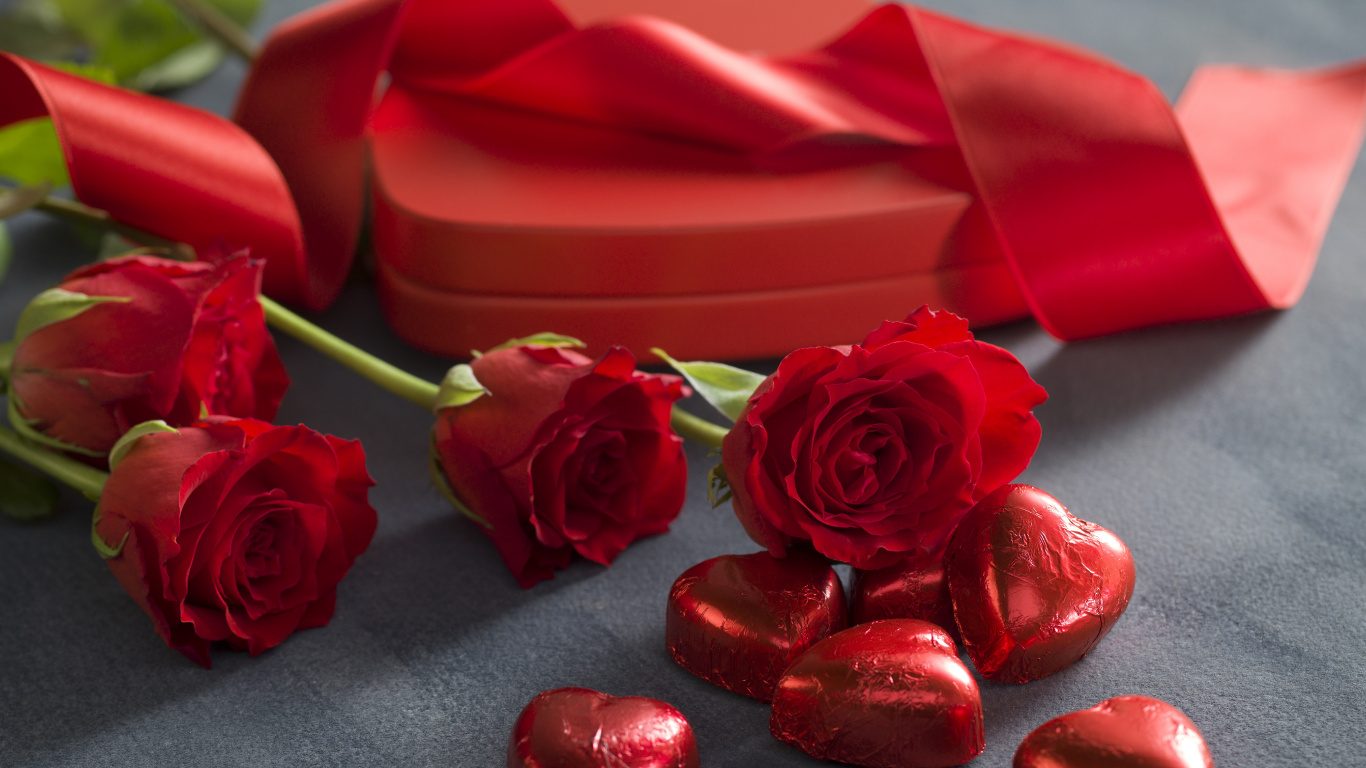 le Jour de Valentines, Red, Roses, Les Roses de Jardin, Pétale. Wallpaper in 1366x768 Resolution