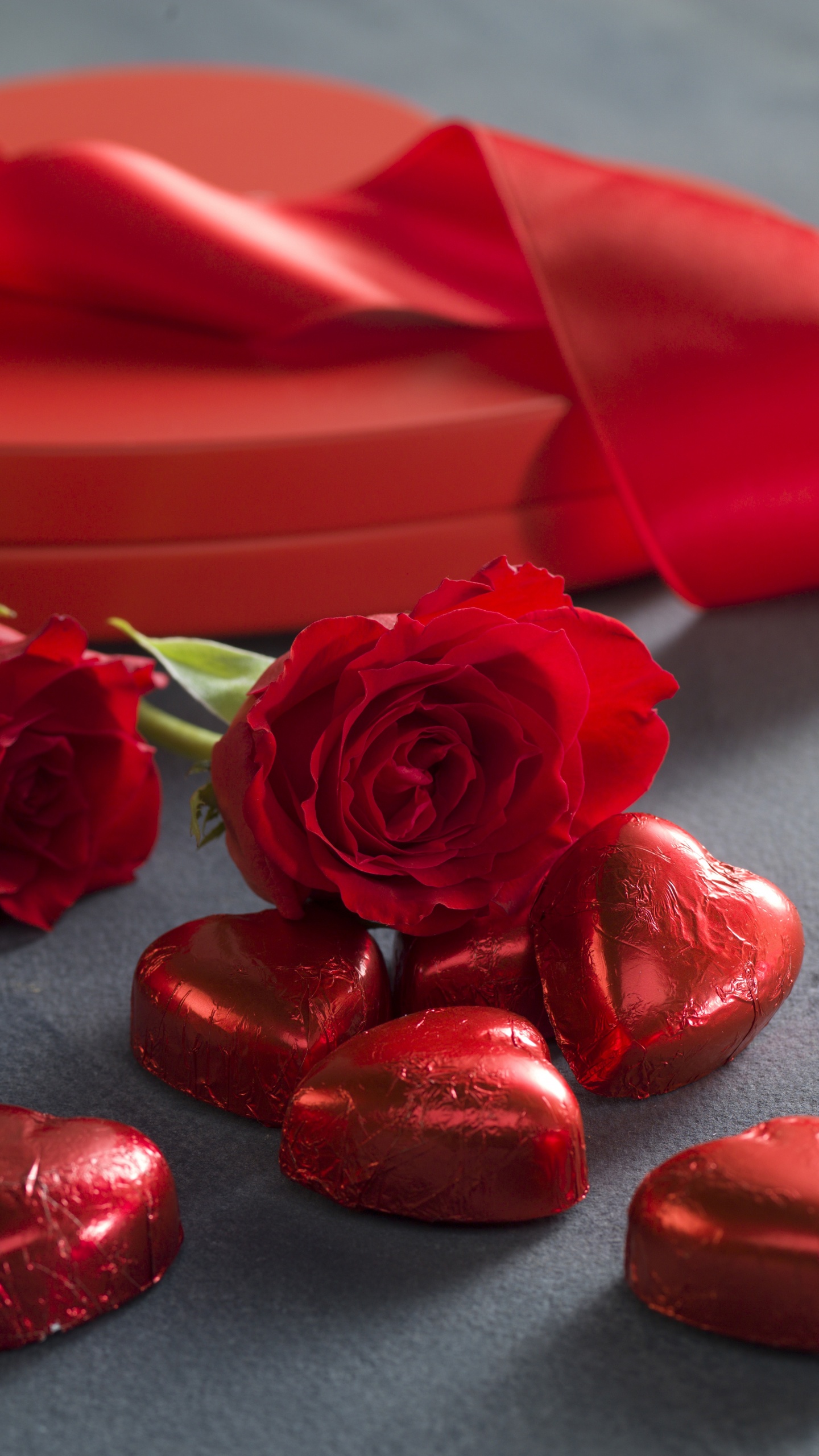 le Jour de Valentines, Red, Roses, Les Roses de Jardin, Pétale. Wallpaper in 1440x2560 Resolution