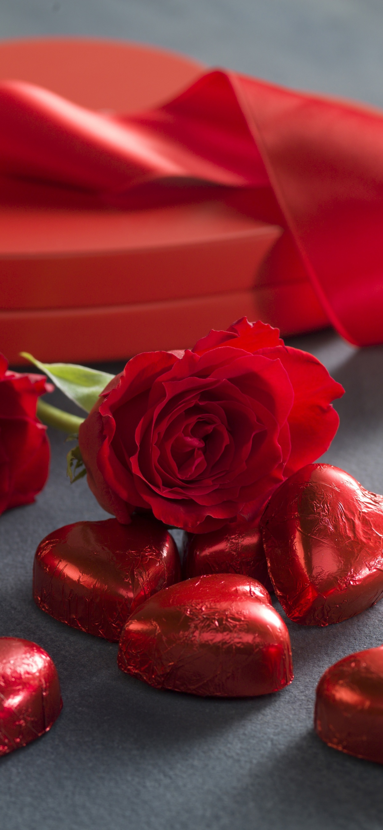 Valentines Day, Red, Rose, Garden Roses, Petal. Wallpaper in 1242x2688 Resolution