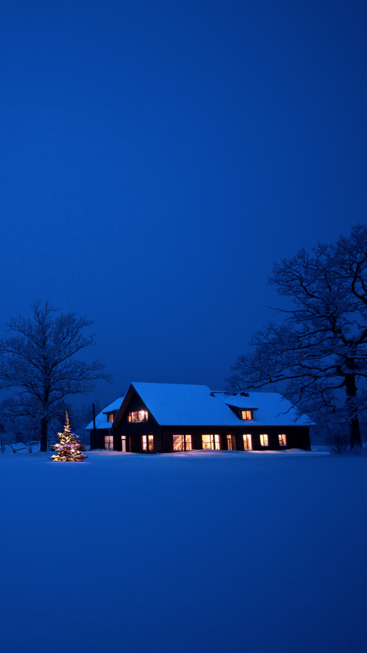 Braunes Holzhaus Auf Schneebedecktem Boden Während Der Nacht. Wallpaper in 750x1334 Resolution