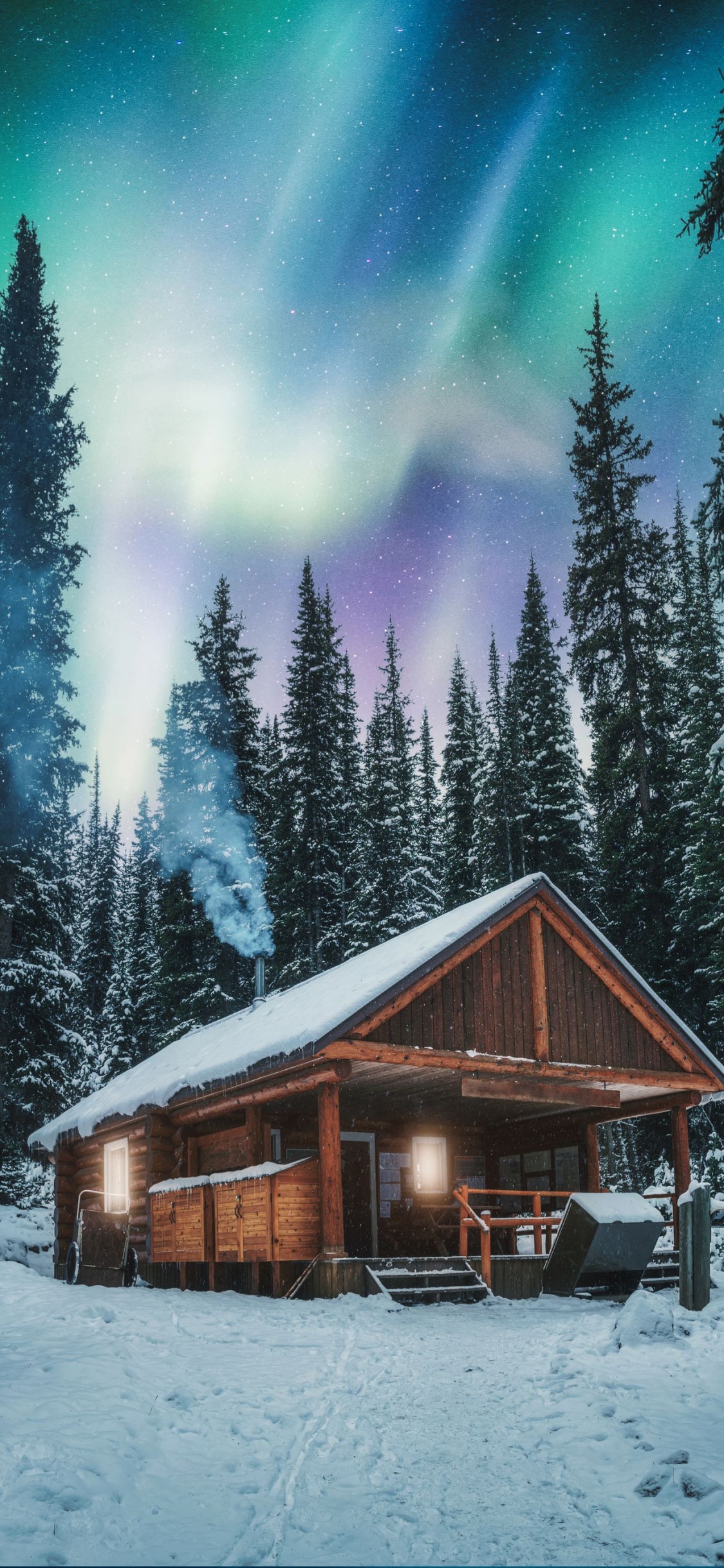 Pallas-yllstunturi National Park, Aurora, Nature, Yellowknife, House. Wallpaper in 1125x2436 Resolution