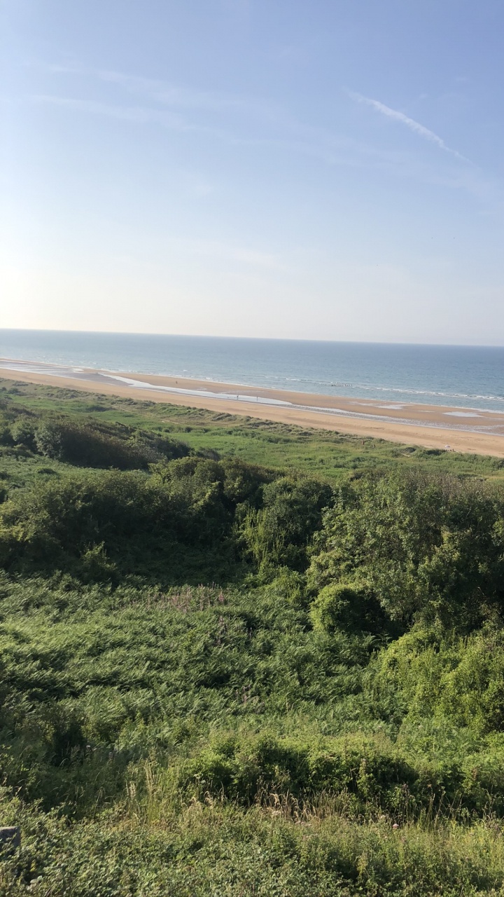 Heideflächen, Steppe, Grünland, Vegetation, Gras. Wallpaper in 720x1280 Resolution