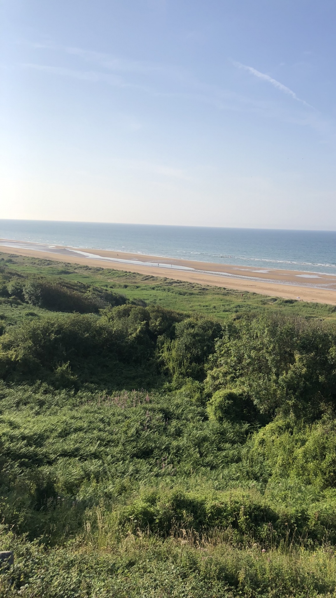 Shrubland, Steppe, Grassland, Vegetation, Grass. Wallpaper in 1080x1920 Resolution