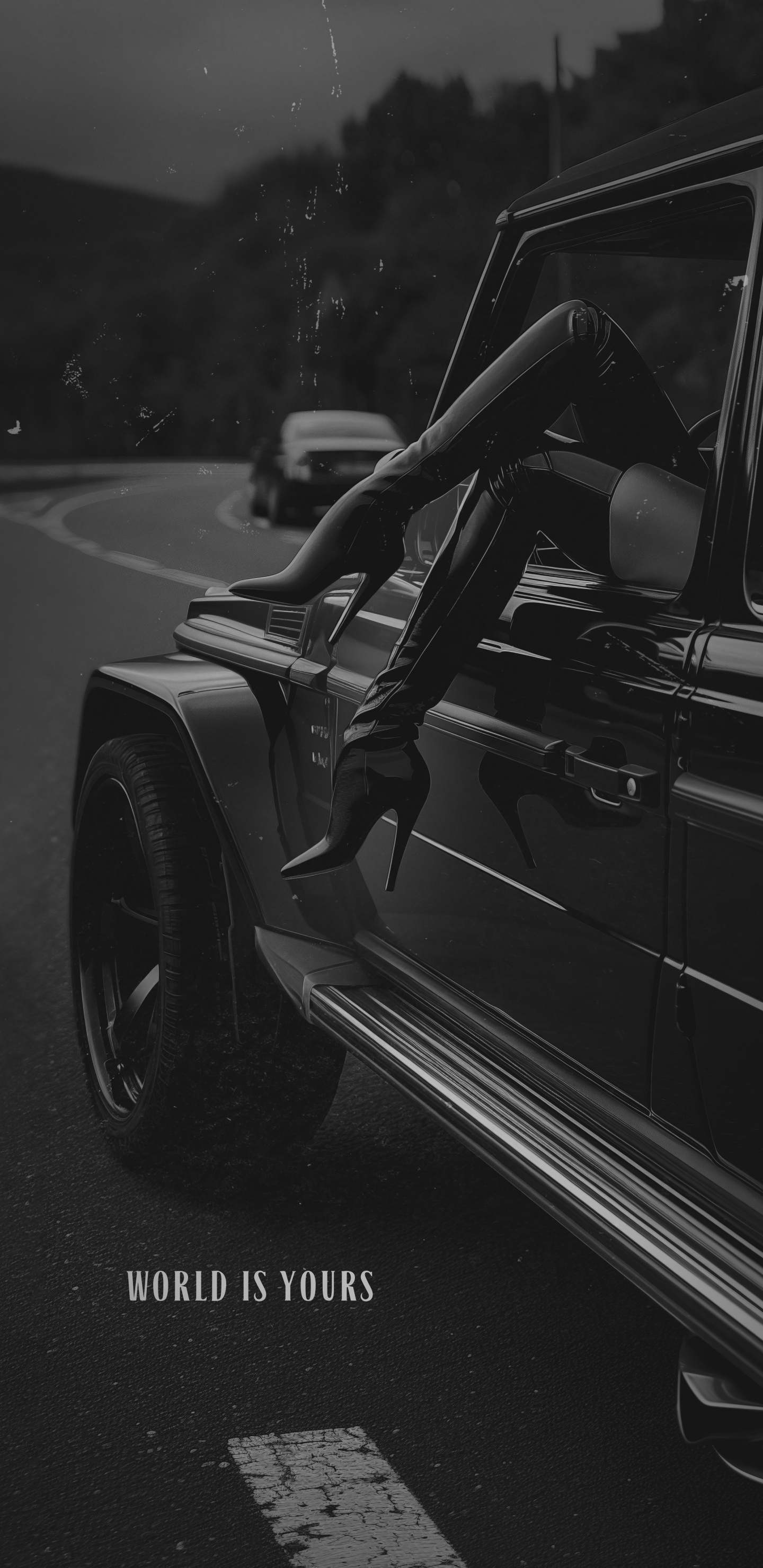 Coches de Época, Coche, Carro de Lujo, Dodge Challenger, Dodge. Wallpaper in 1440x2960 Resolution