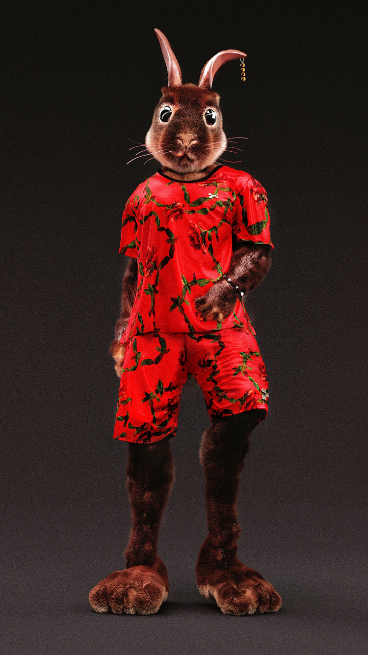 Perro Marrón de Pelo Corto Con Camisa de Vestir Roja y Negra. Wallpaper in 750x1334 Resolution