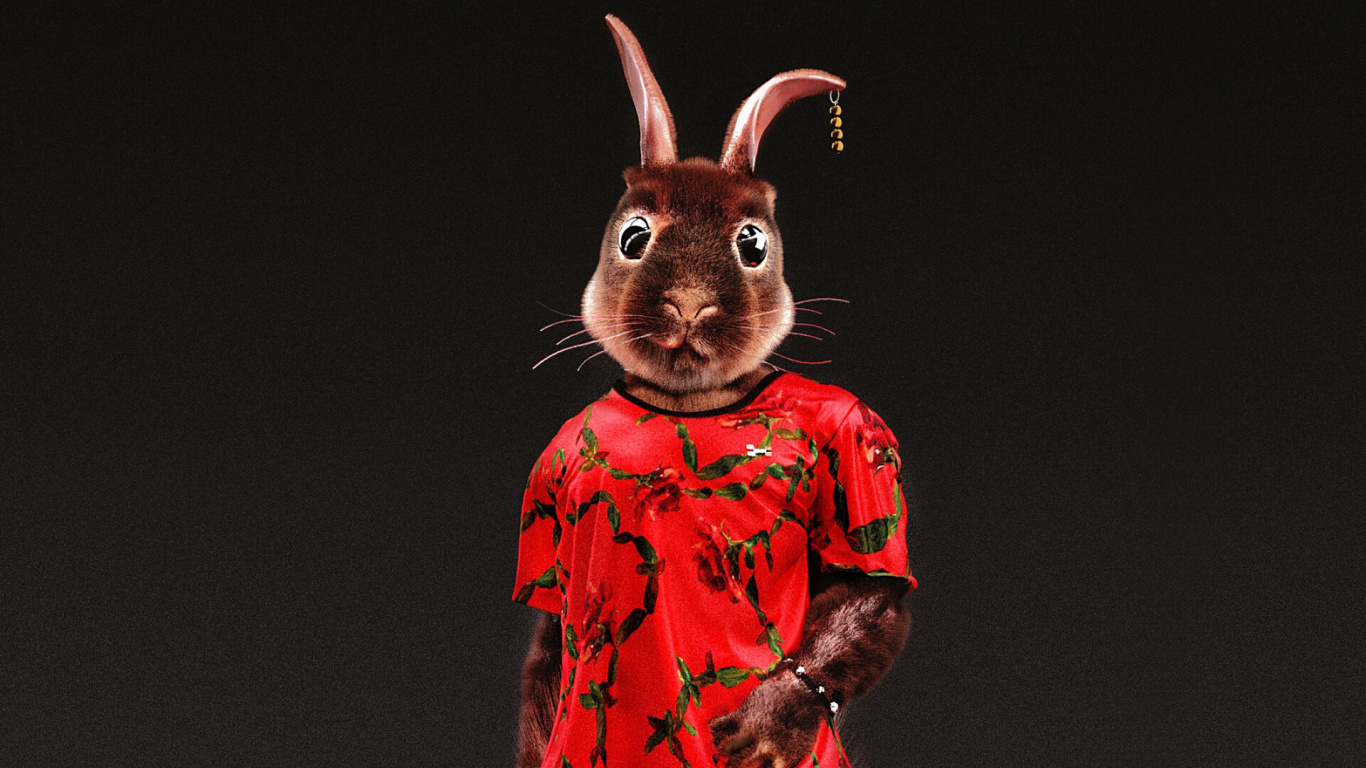 Chien à Poil Court Marron Vêtu D'une Chemise Rouge et Noire. Wallpaper in 1366x768 Resolution