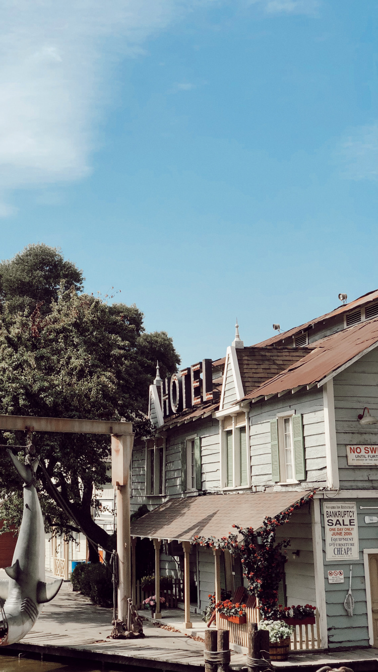 Roof, Biology, Science, Town, Flowerpot. Wallpaper in 750x1334 Resolution