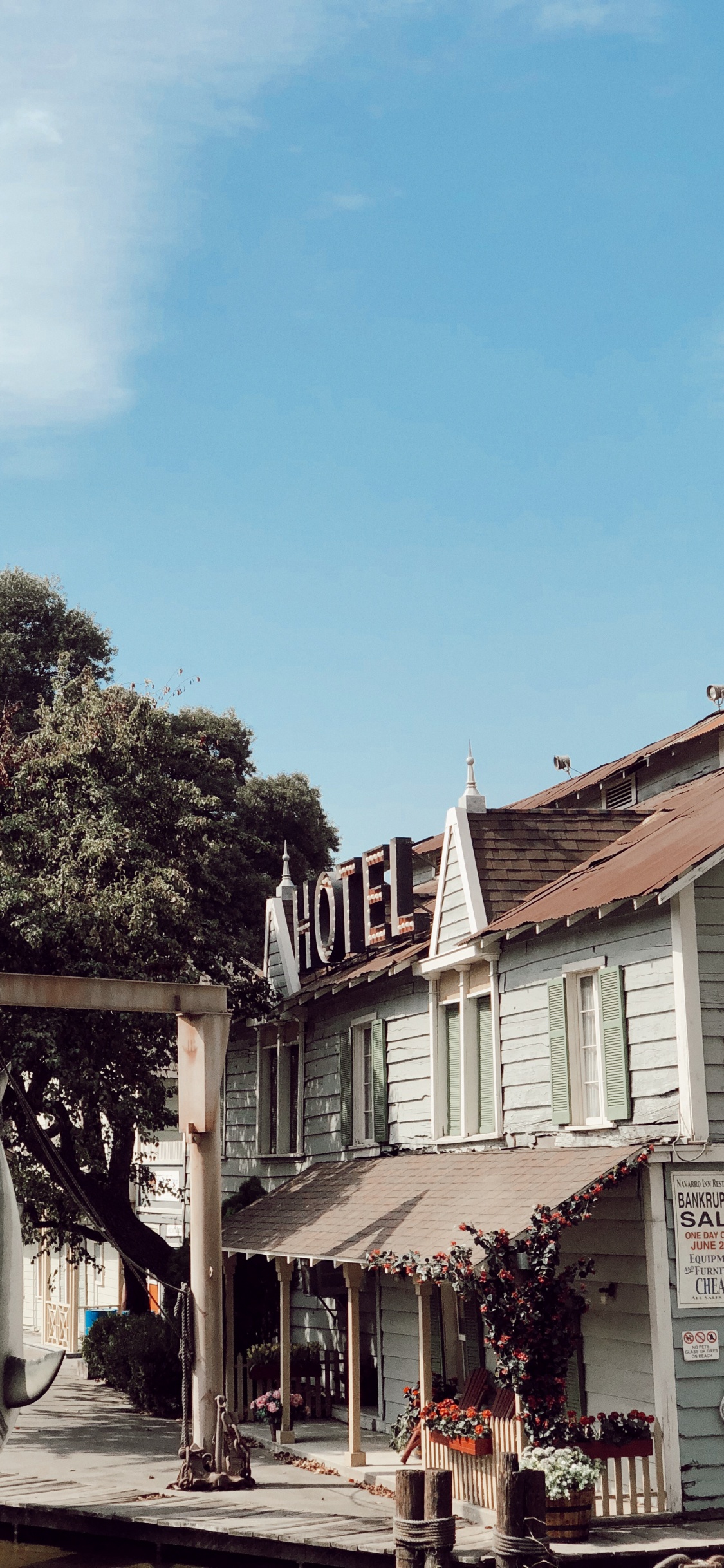 Toit, Biologie, Sciences, Ville, Flowerpot. Wallpaper in 1125x2436 Resolution