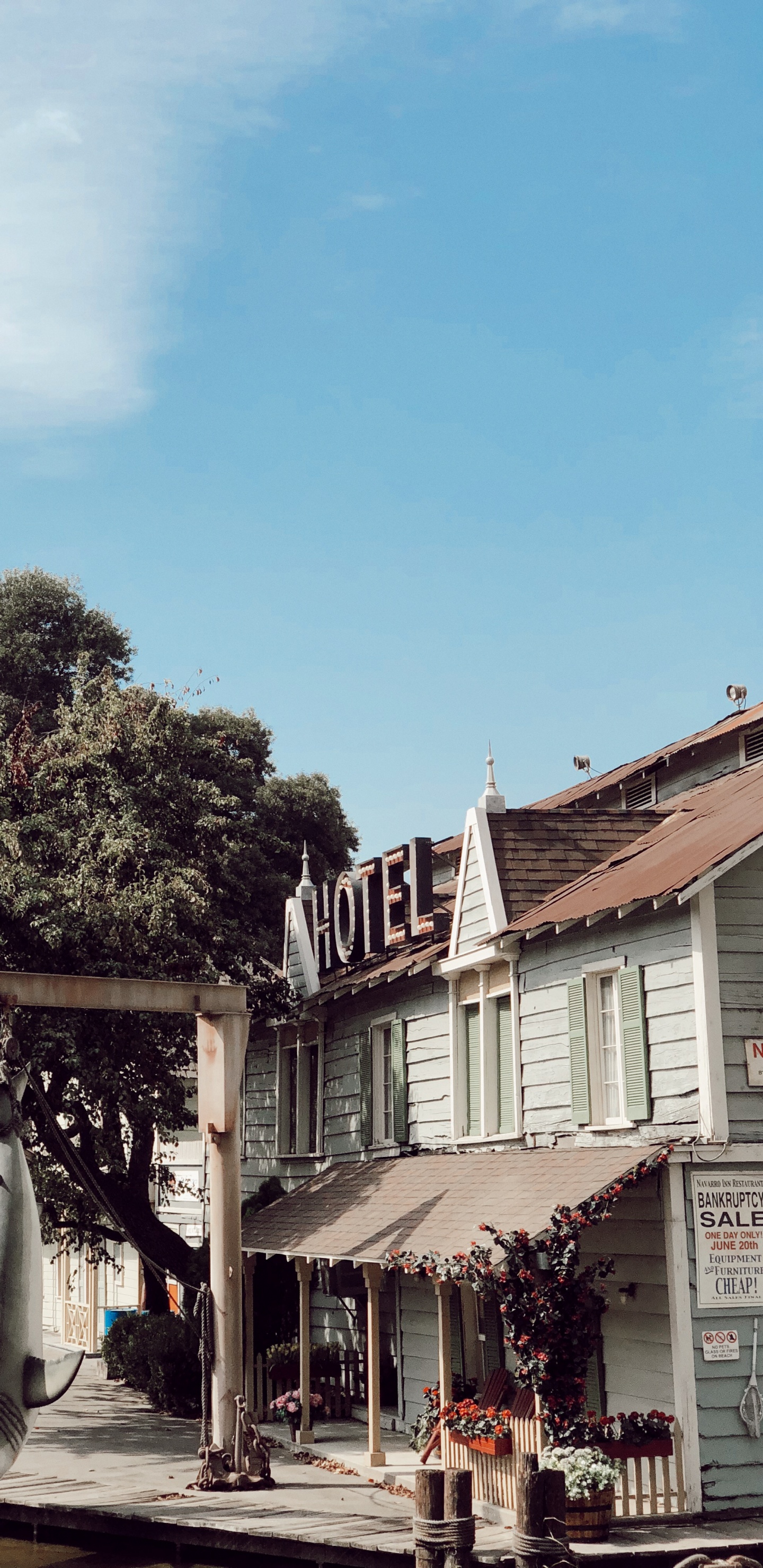 屋顶, 生物学, 科学, 花盆, 楼梯 壁纸 1440x2960 允许