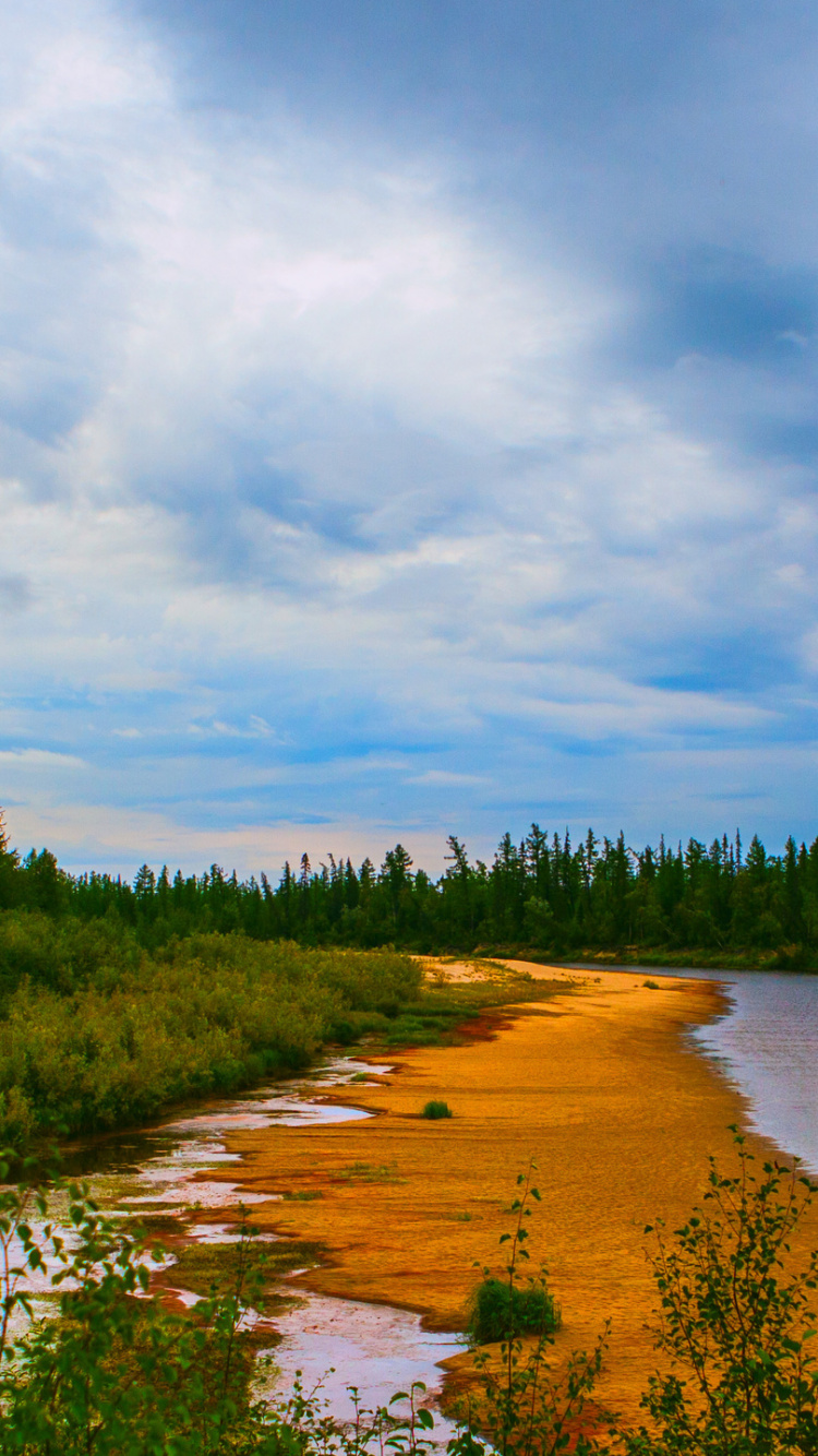 Grüne Bäume Neben Dem Fluss Unter Bewölktem Himmel Tagsüber. Wallpaper in 750x1334 Resolution