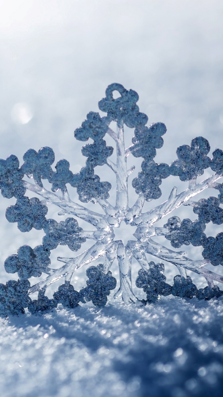 雪花, 冬天, 冻结, 一天, 天空 壁纸 720x1280 允许