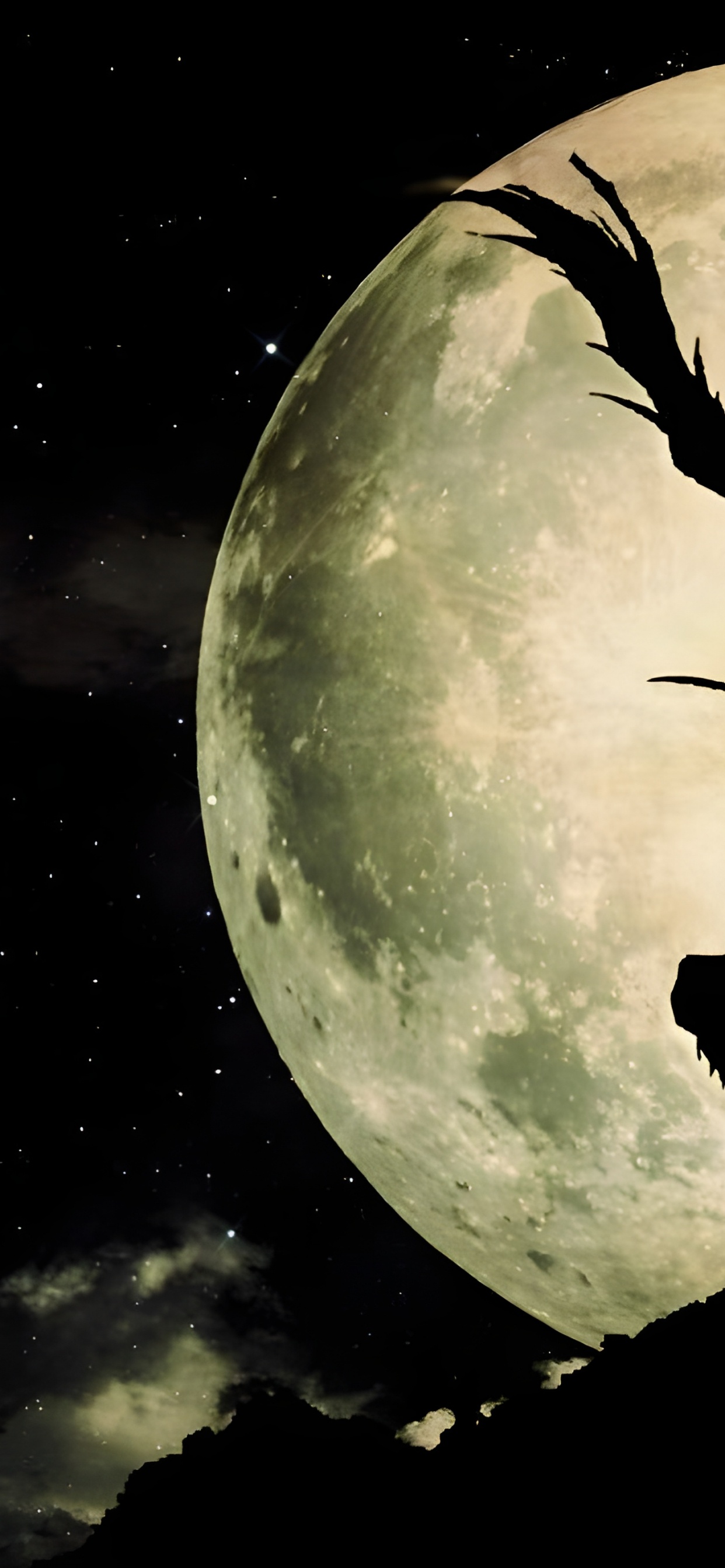 Death Note-Hintergrund d Cran Pc, Ryuk, Light Yagami, Death Note. Wallpaper in 1242x2688 Resolution