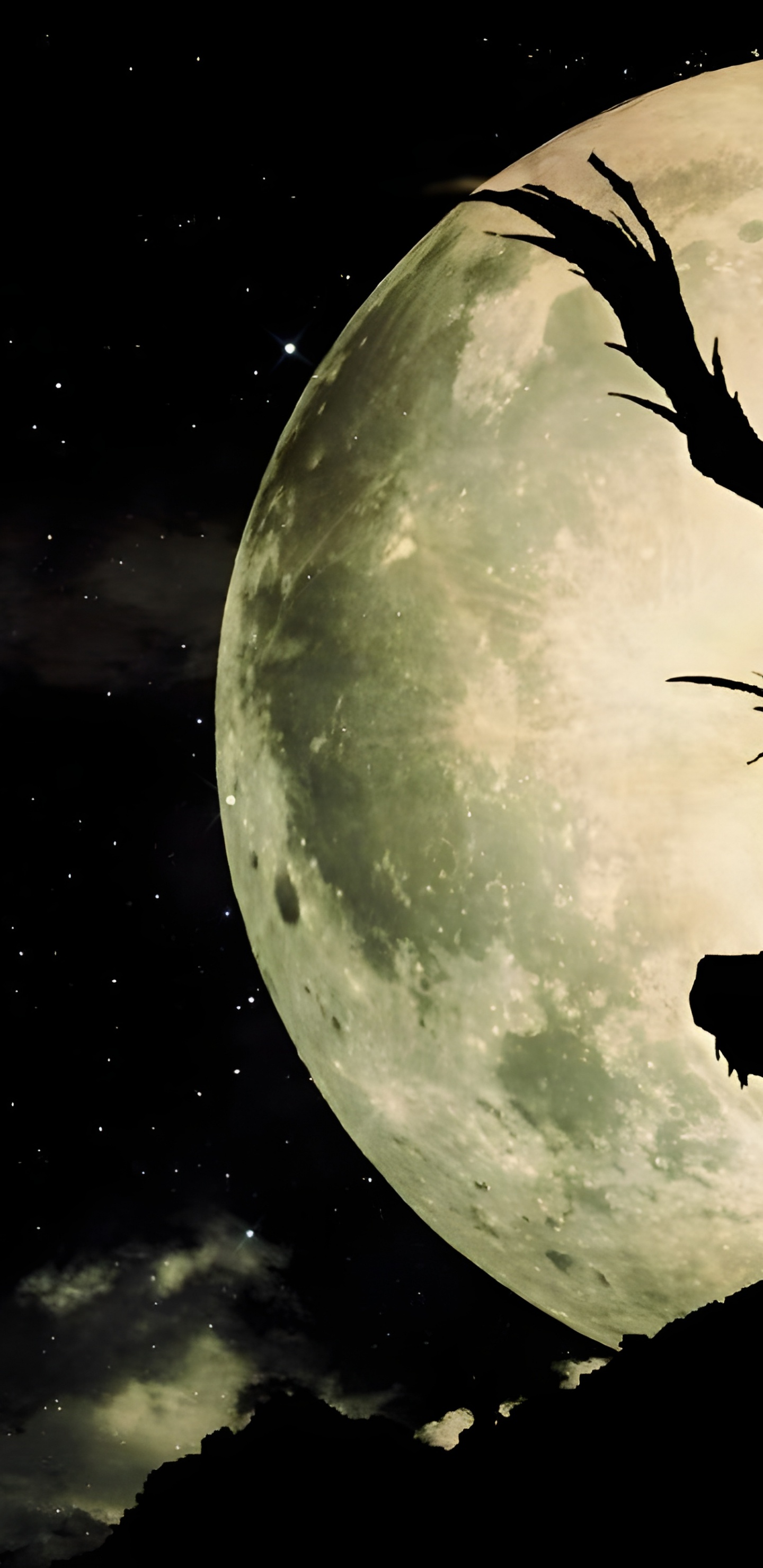 Fond D'écran Death Note Pc, Ryuk, Light Yagami, Death Note. Wallpaper in 1440x2960 Resolution