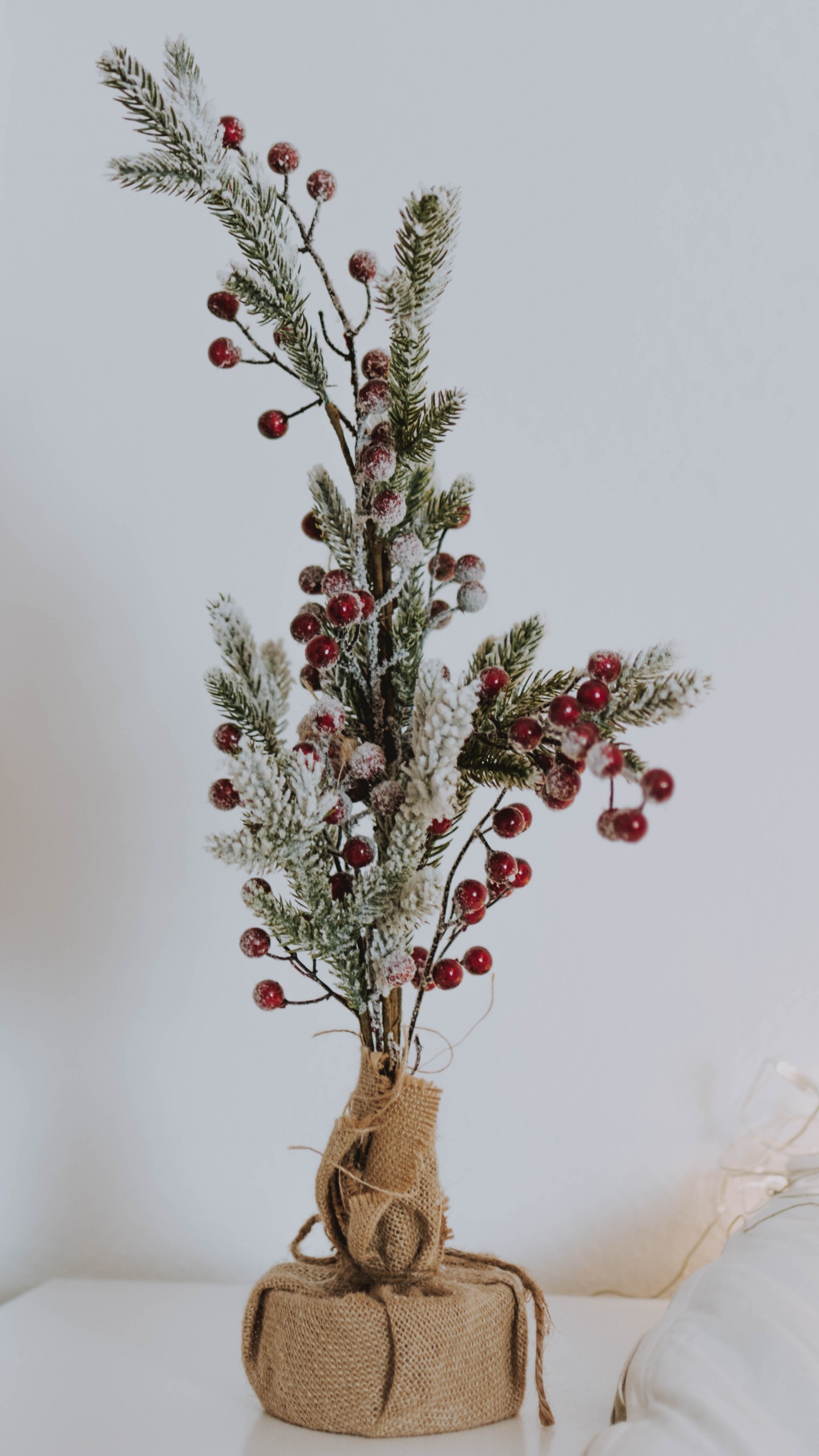 Rote Und Grüne Pflanze Auf Braunem Topf. Wallpaper in 1440x2560 Resolution