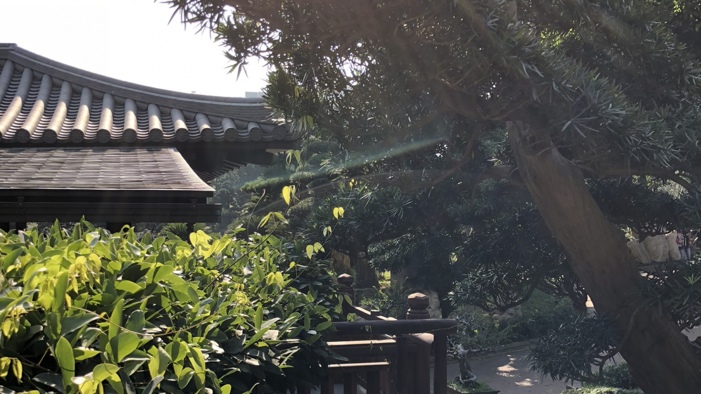 Tree, Vegetation, Leaf, Garden, Roof. Wallpaper in 1366x768 Resolution